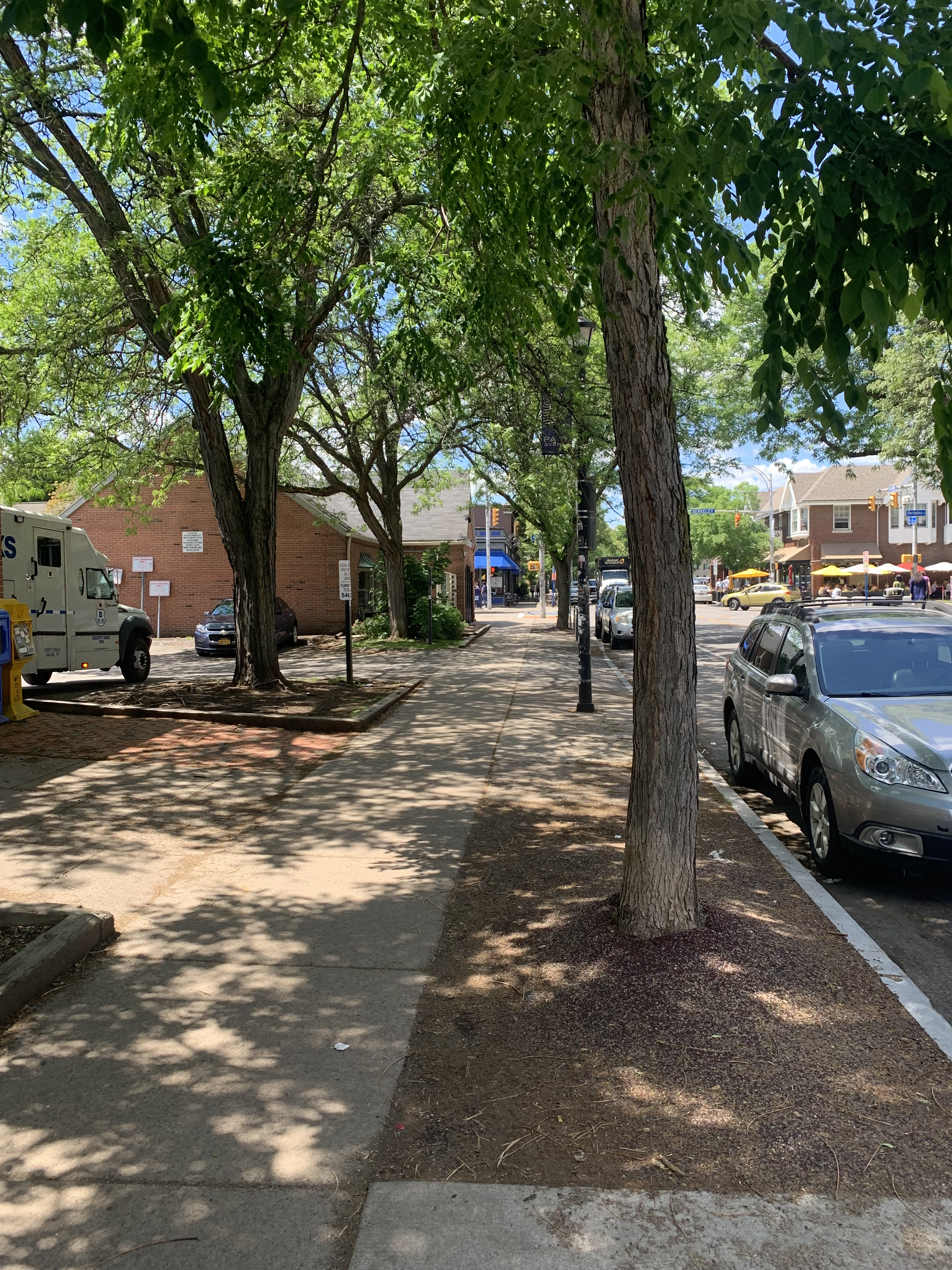 Sidewalk with green trees and cars. Some buildings in background.