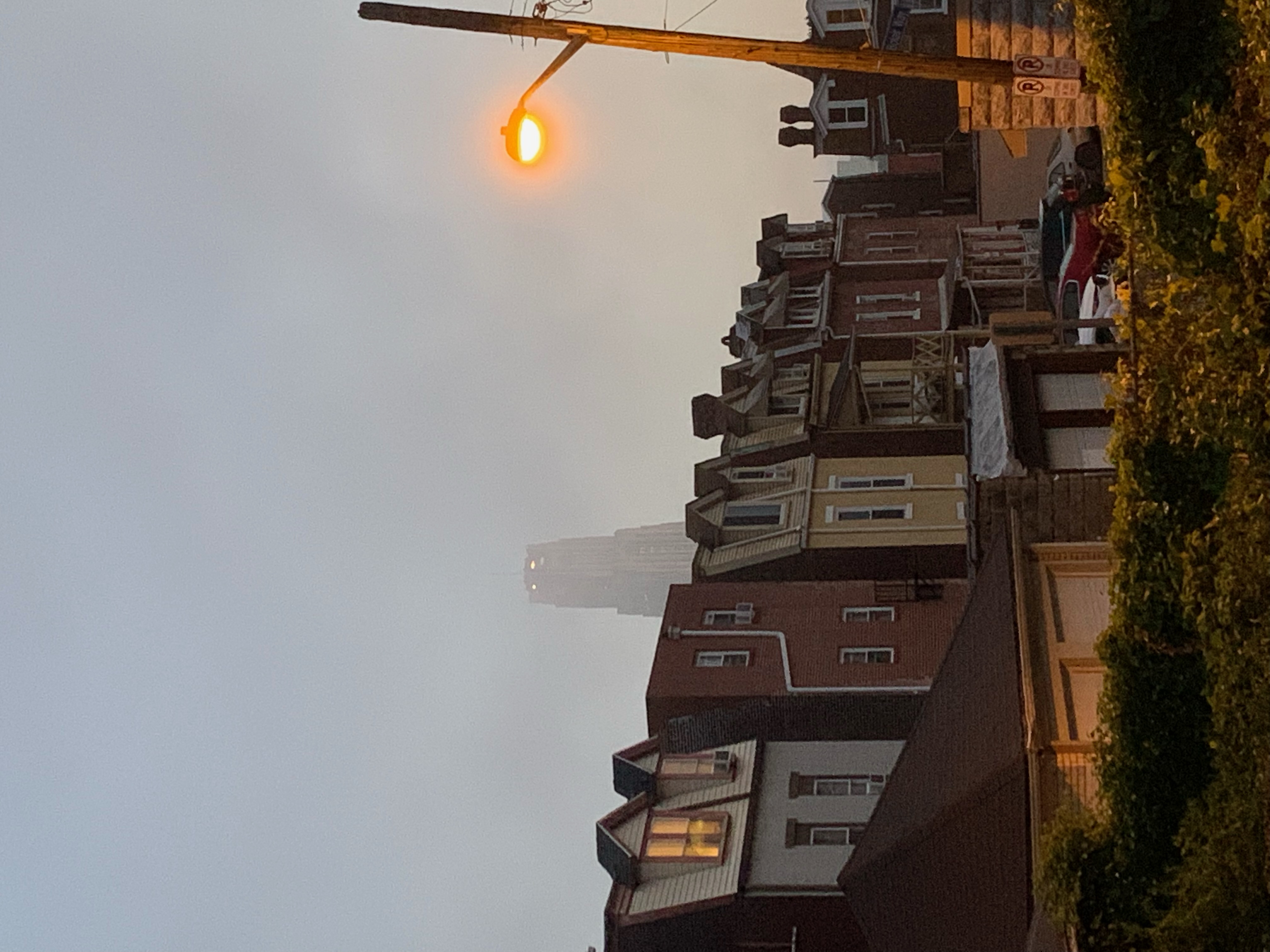 Art deco style Cathedral of Learning in the distance behind a layer of fog. 
                Row of houses and streetlight in the foreground.